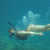 Tanque de ar com valvula de respiracao Outras nadadeiras de natacao Equipamento de mergulho subaquatico Proprio armazem no exterior dos EUA