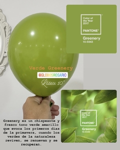 Latex verde greenery 10” x 10 unidades