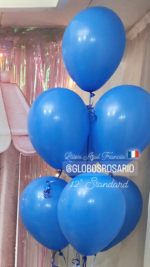 Látex Azul Francia Standard 12 x 10 unidades