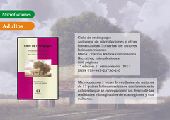 Cielo De Relámpagos Antología Microficciones M.C. Ramos Compiladora - comprar online