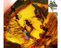Ámbar Amarillo con Insecto #036 - Chiapas Mágico