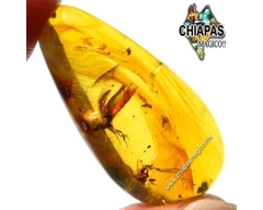 Ámbar Amarillo con Insectos #006 (Gota) - Chiapas Mágico