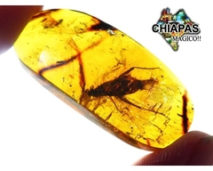 Ámbar Amarillo con Insecto #008 - Chiapas Mágico