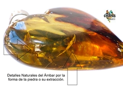 Dije Corazón de Ámbar & Plata Ley #020 (Con Insecto)