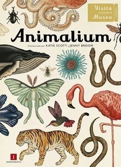 Animalium - Kattie Scott / Jenny Broom