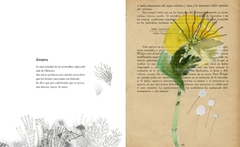 Vademécum de la Flora naturalis imaginaria - comprar online