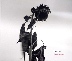 Tierra - Daniel Muchiut