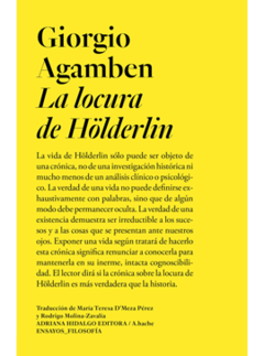 La locura de Hölderlin - Giorgio Agamben