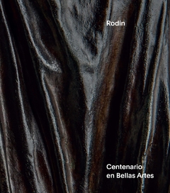 Rodin. Centenario en Bellas Artes - comprar online