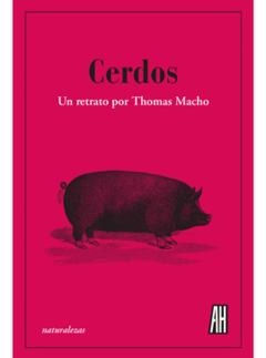 Cerdos - Un retrato por Thomas Macho