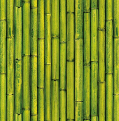 Papel Muresco Vinilizado Zen 3476-1 Bamboo