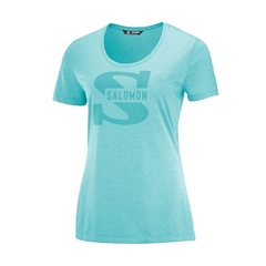 Remera Salomon SS Tee W Mujer Casual - comprar online