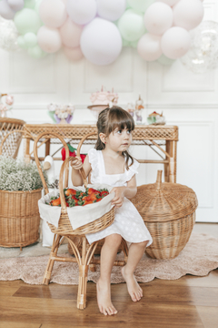 Imagem do Cesta de piquenique infantil