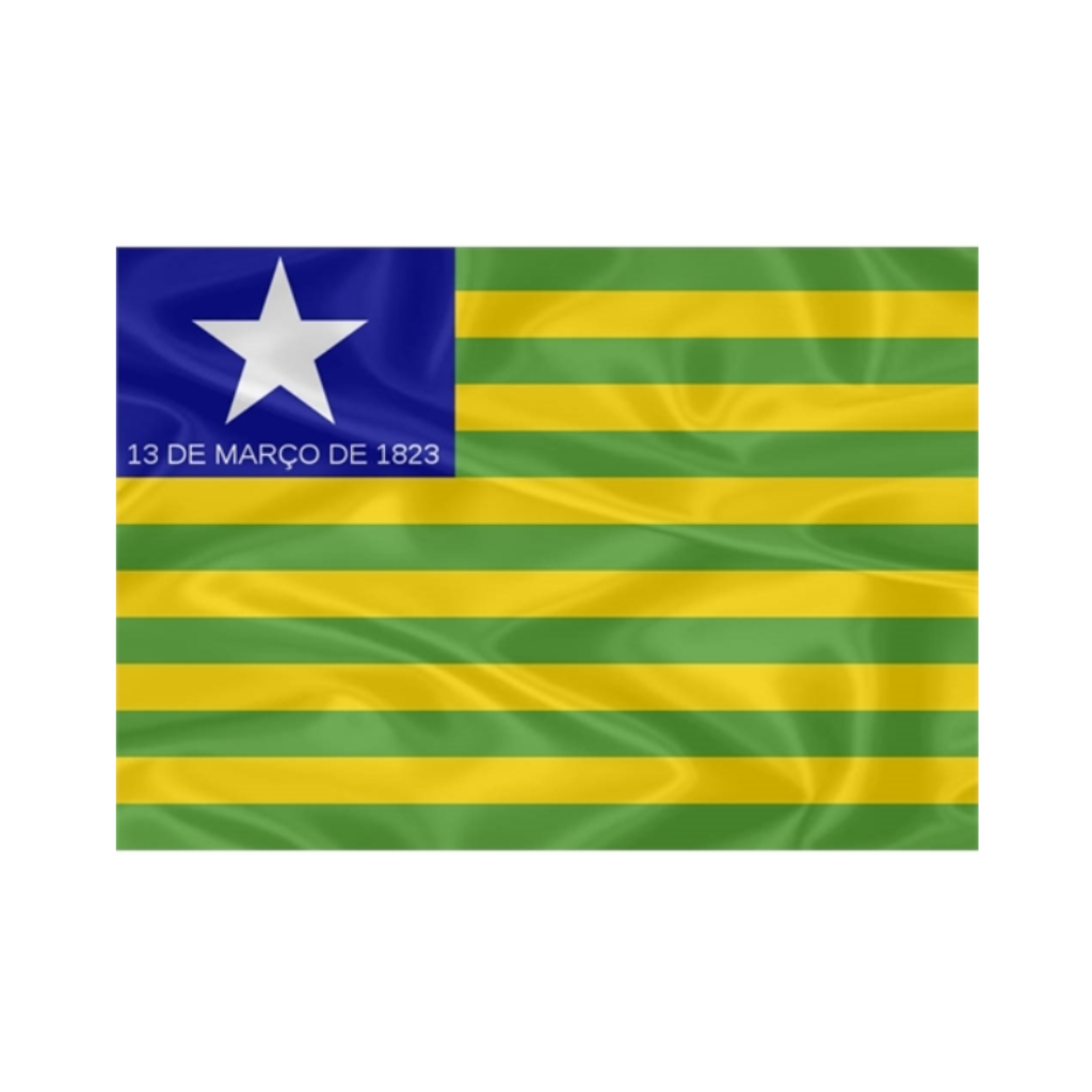 Camiseta Rondônia Bandeira Estados País Brasil