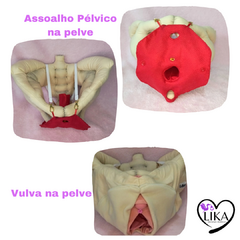 kit 6 Fisiologia do parto