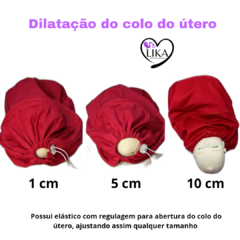 Kit 4 Fisiologia do parto (bebê RN)