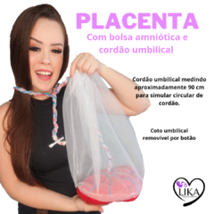 Placenta comum + Útero - comprar online