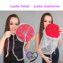 Kit 9 Fisiologia do parto - LIKA