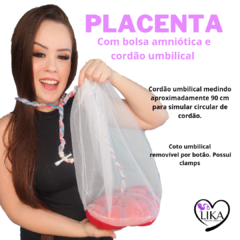 Kit 1 Fisiologia do parto na internet