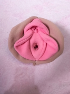 Vulva didática