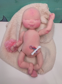 Feto 25 cm + Mini placenta
