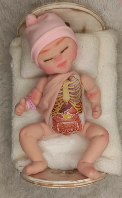 Boneca com órgãos