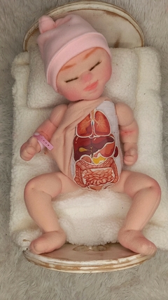 Boneca com órgãos - comprar online