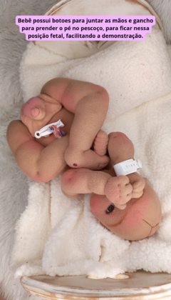 Bebê+ Placenta - comprar online