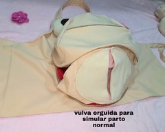 Kit 2 Fisiologia do parto - loja online