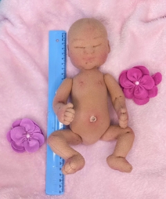 Feto 25 cm + Mini placenta na internet