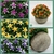 Mini Planta Decorativa Artificial Plástico Interior - tienda online