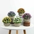Mini Planta Decorativa Artificial Plástico Interior - comprar online