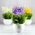 Set X6 Mini Planta Flores Artificial Deco Plástico Interior en internet