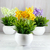 Set X6 Mini Planta Flores Artificial Deco Plástico Interior - SHOPPY