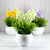 Set X6 Mini Planta Flores Artificial Deco Plástico Interior - tienda online