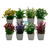 Pack x8 Mini plantas Plantitas artificiales de plástico para interiores