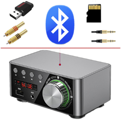 Amplificador de Som Ambiente Bluetooth 5.0 USB Pendrive + Com Fonte 12vx2a Prata na internet