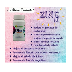 Zinc + Vitamina C. 60 Comp. Vida Natural En Caba Belgrano (CONSULTAR STOCK) - comprar online