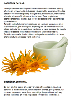 Imagen de Aceite De Arnica Puro Por 100ml En Belgrano Caba !!! Envios a todo el Pais