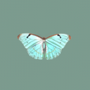 Logo de Mariane Ferraro Store
