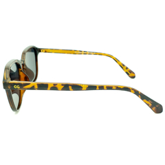 Óculos de Sol Masculino Empório Glasses Mesclado Marrom Quadrado EG22021 C17 51