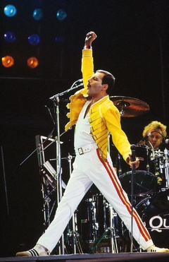 Bastidor Freddie Mercury - Queen - tienda online