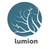 Lumion 12 Pro – Licença Vitalícia - comprar online