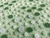 Crepe Fourway Estampado 3D Florzinhas Verde - 95% Poliéster 5% Elastano - 1,47 Metros de Largura - 74g/m² - loja online