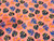 Crepe Fourway Estampado Costela de Adão Color - 95% Poliéster 5% Elastano - 1,47 Metros de Largura - 74g/m² - comprar online