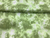 Crepe Fourway Estampado Tie Dye Verde - 95% Poliéster 5% Elastano - 1,47 Metros de Largura - 74g/m² na internet