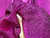 Lurex Barbie Pink - 57% Fios Metalizados 43% Poliéster - 1,35 Metros de Largura - 52g/m² - comprar online