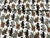 Tricoline Estampada Digital Gatinhos Bordados 3D - 100% Algodão - 1,50 Metros de Largura - 129g/m² - comprar online