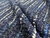 Tweed Kinit Azul Marinho - 100% Poliéster - 1,50 Metros de Largura - 354g/m² - 104 Tecidos