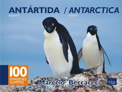 ANTÁRTIDA / ANTARCTICA - Marcelo Beccaceci